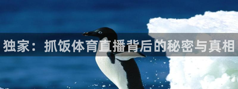 so米体育直播在线：独家：抓饭体育直播背后的秘密与真相