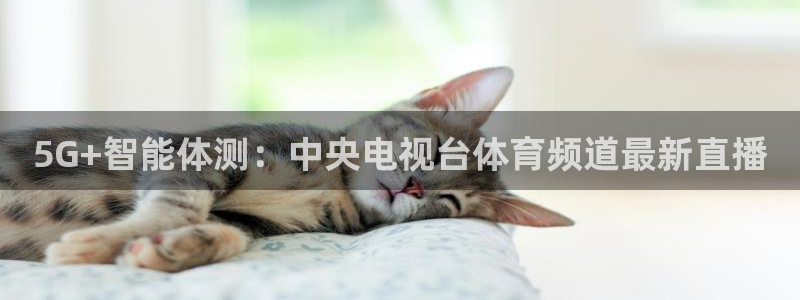 so米体育直播nba：5G+智能体测：中央电视台体育频道最新直播