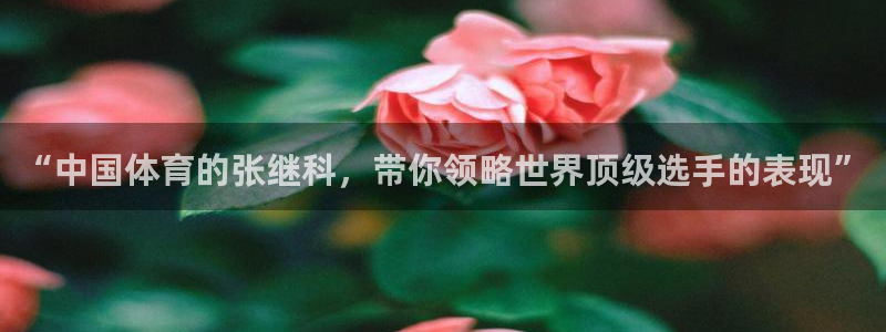 so米体育下载：“中国体育的张继科，带你领略世界顶级选手的表现”