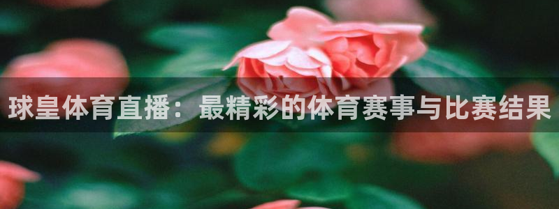 so米体育直播免费：球皇体育直播：最精彩的体育赛事与比赛结果