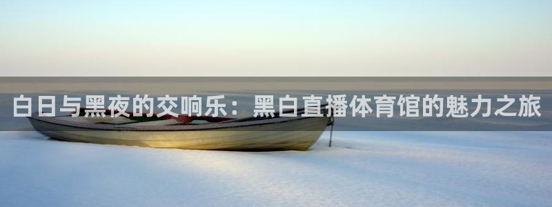so米直播nba体育：白日与黑夜的交响乐：黑白直播体育馆的魅力之旅