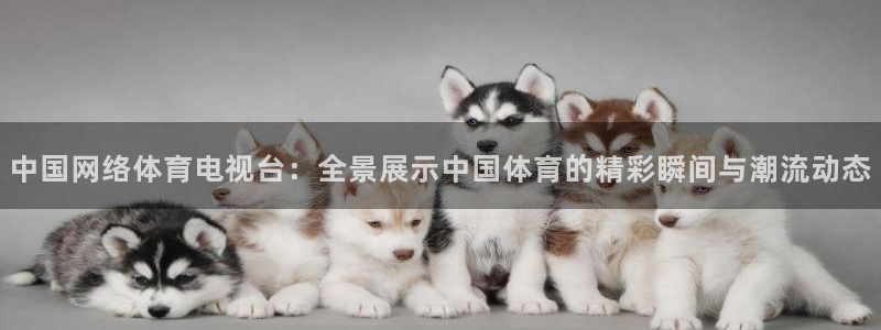 so米体育赛事直播：中国网络体育电视台：全景展示中国体育的精彩瞬间与潮流动态