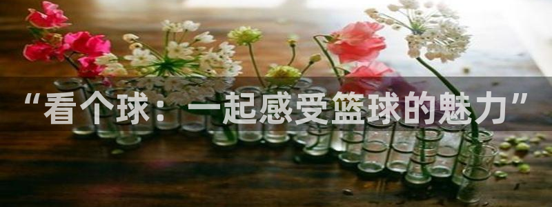 so米体育nba直播免费观看：“看个球：一起感受篮球的魅力”