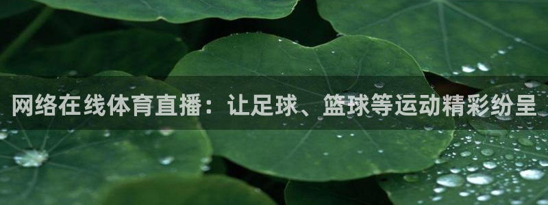 so米体育app下载
