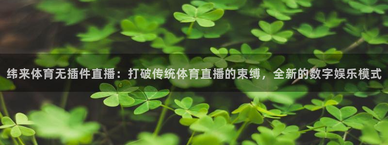 so米体育直播在线：纬来体育无插件直播：打破传统体育直播的束缚，全新的数字娱乐模式