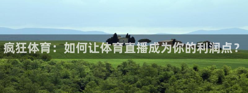 篮球直播so米：疯狂体育：如何让体育直播成为你的利润点？